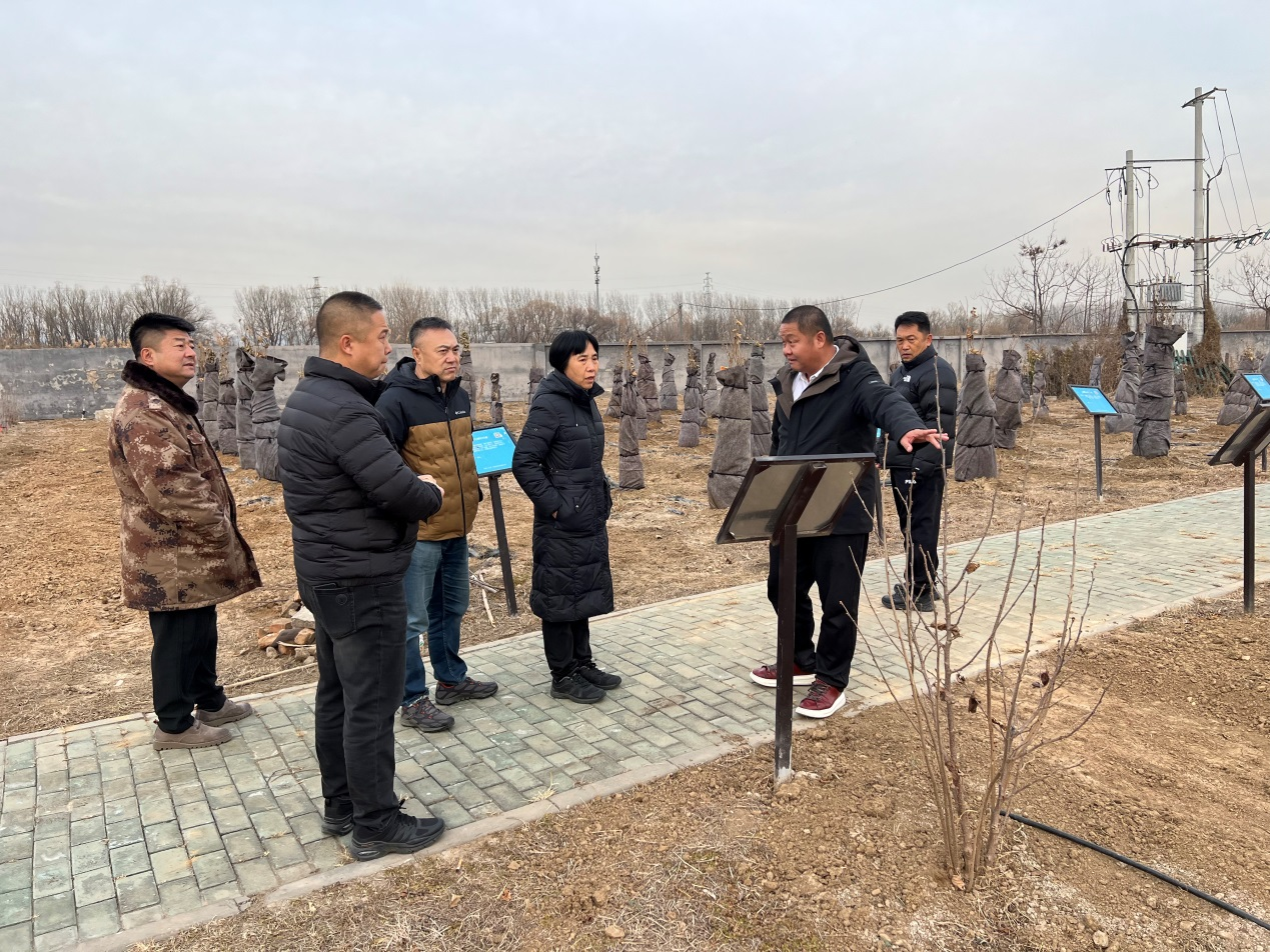 1734856874681573.png 圖片1.png