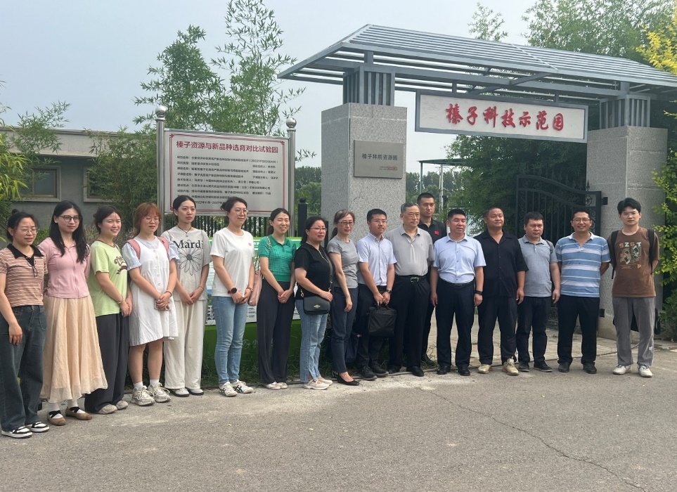 1735043993798479.png 圖片3.png