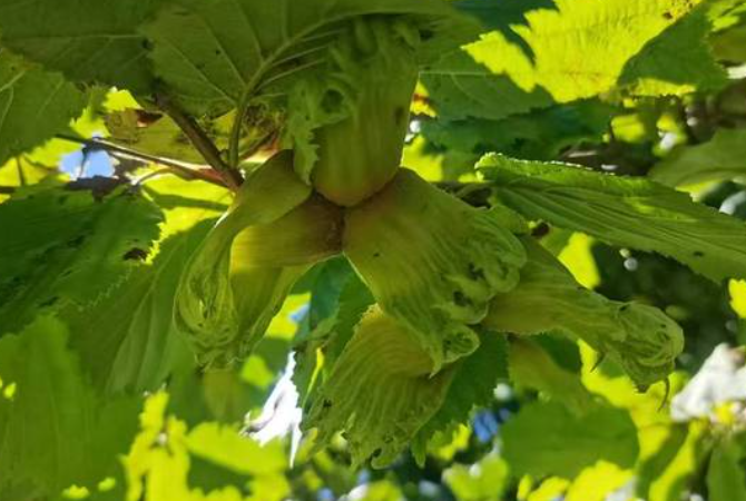 1761118260513946.png image.png